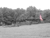 Old Glory